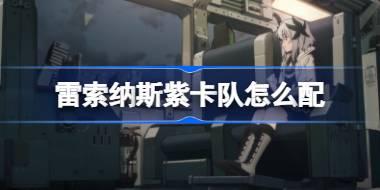 雷索纳斯紫卡队怎么配 雷索纳斯紫卡队构筑方法