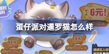 蛋仔派对暹罗猫怎么样 蛋仔派对暹罗猫盲盒介绍