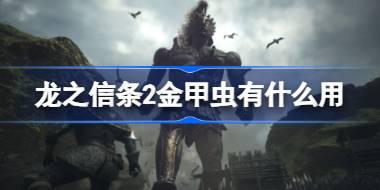 龙之信条2金甲虫有什么用 龙之信条2金甲虫介绍
