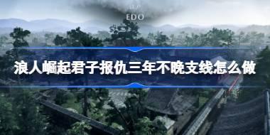浪人崛起君子报仇三年不晚支线怎么做 浪人崛起君子报仇三年不晚支线攻略