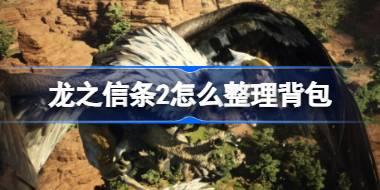 <b>龙之信条2怎么整理背包 龙之信条2背包整理技能书获取</b>