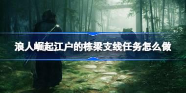 浪人崛起江户的栋梁支线任务怎么做 浪人崛起江户的栋梁支线任务攻略