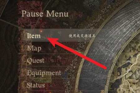 龙之信条2负重提高方法