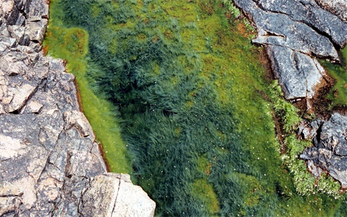 崩坏星穹铁道乐园打卡成就完成攻略