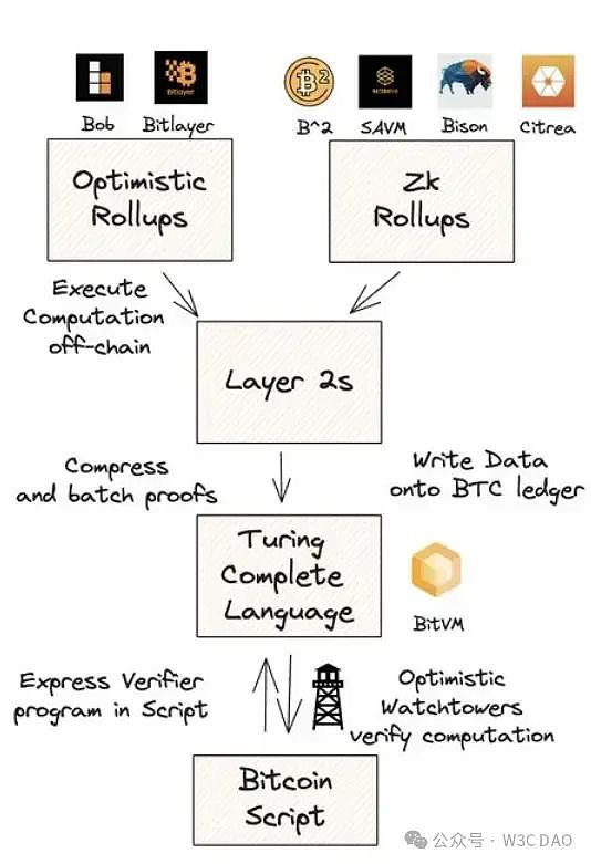 Polygon Ventures：对本轮牛市 BTC 生态的研究分析