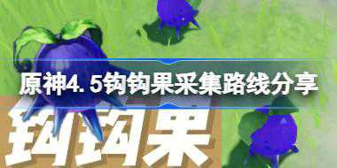 原神4.5钩钩果采集路线分享 原神4.5钩钩果哪里有卖