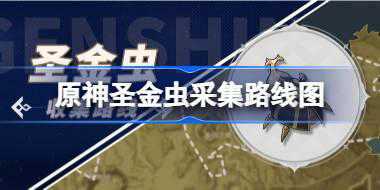 原神圣金虫采集路线图 原神圣金虫采集点一览