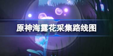 原神海露花采集路线图 原神海露花在哪获得
