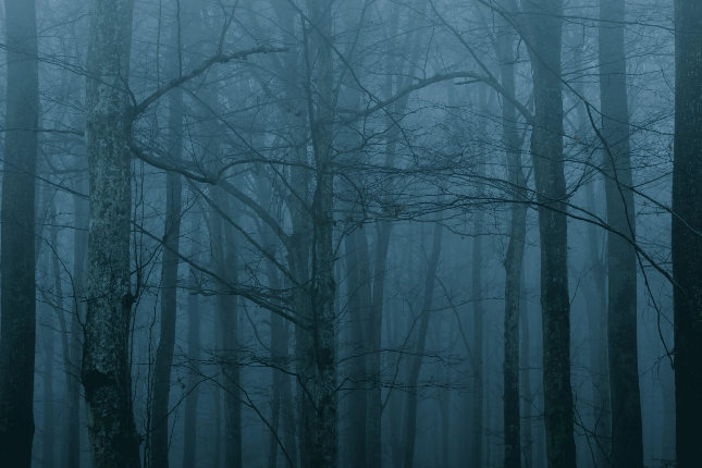 <b>白话解读Web3签名钓鱼的底层逻辑：授权钓鱼、Permit与Permit2的区别</b>