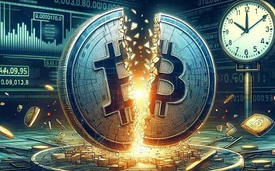 特殊的牛市？第四次“减半”多项指标被打破