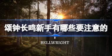 颂钟长鸣新手有哪些要注意的 颂钟长鸣新手游玩要点介绍