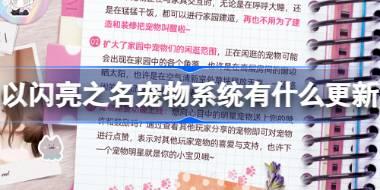 以闪亮之名宠物系统有什么更新 以闪亮之名宠物系统更新内容介绍
