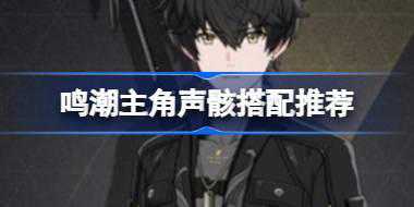 鸣潮主角声骸怎么搭配 鸣潮主角声骸搭配推荐