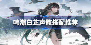 鸣潮白芷声骸怎么搭配 鸣潮白芷声骸搭配推荐