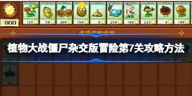 植物大战僵尸杂交版冒险第7关怎么打 植物大战僵尸杂交版冒险第7关攻略方法
