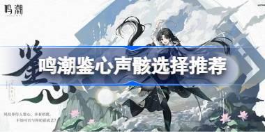 鸣潮鉴心声骸选择推荐 鸣潮鉴心声骸该怎么选择