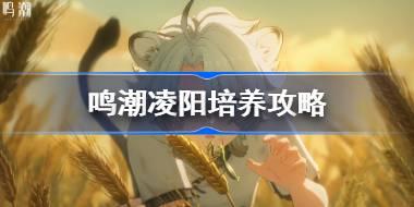 鸣潮凌阳培养攻略 鸣潮凌阳声骸武器阵容推荐
