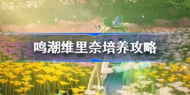 鸣潮维里奈培养攻略 鸣潮维里奈声骸武器阵容推荐