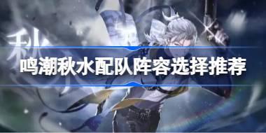 鸣潮秋水配队阵容选择推荐 鸣潮秋水配队阵容该怎么选择