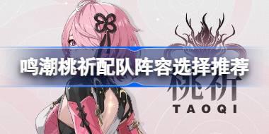 鸣潮桃祈配队阵容选择推荐 鸣潮桃祈配队阵容该怎么选择