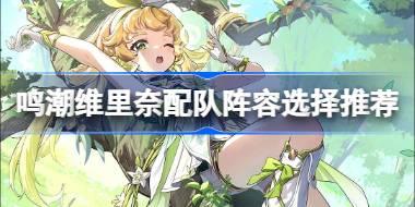 鸣潮维里奈配队阵容选择推荐 鸣潮维里奈配队阵容该怎么选择