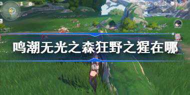 鸣潮无光之森狂野之猩在哪 鸣潮狂野之猩位置介绍