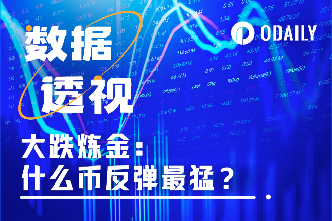 <b>大跌淘金：252个代币里谁最强势，谁最能跌？</b>