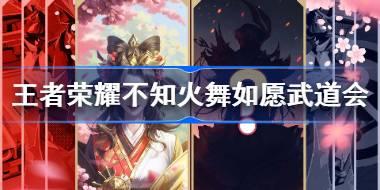 王者荣耀不知火舞如愿武道会皮肤怎么样 不知火舞如愿武道会介绍