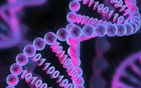 加密市场正在自然筛选和进化