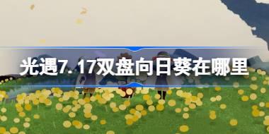 光遇7.17双盘向日葵在哪里 光遇7月17日有友节代币收集攻略