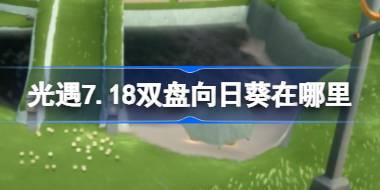 光遇7.18双盘向日葵在哪里 光遇7月18日有友节代币收集攻略