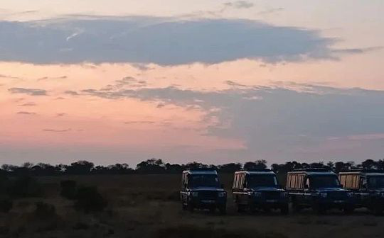 从“混序”肇始到Web3.0世代的“VISA”