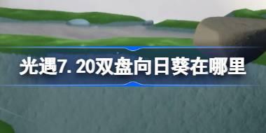 <b>光遇7.20双盘向日葵在哪里 光遇7月20日有友节代币收集攻略</b>