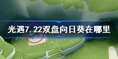光遇7.22双盘向日葵在哪里 光遇7月22日有友节代币收集攻略