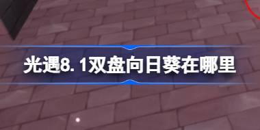光遇8.1双盘向日葵在哪里 光遇8月1日有友节代币收集攻略