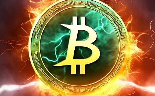 牛市已过半 比特币生态还有机会吗？