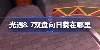 光遇8.7双盘向日葵在哪里 光遇8月7日有友节代币收集攻略