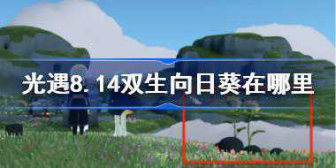 光遇8.14双生向日葵在哪里 光遇8月14日有友节代币收集攻略