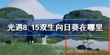 光遇8.15双生向日葵在哪里 光遇8月15日有友节代币收集攻略