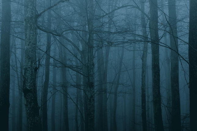 <b>Web3安全入门避坑指南：假矿池骗局</b>