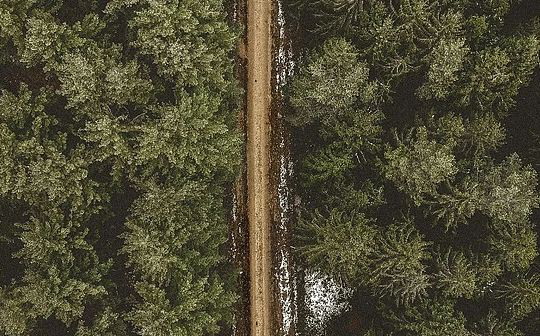 Web3 Social迷思：没弄清社交与社区的不同 还有灾难性的X to Earn模式