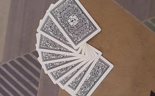 <b>概念厘清 | 赌博犯罪案件中的赌资、违法所得、罚金</b>