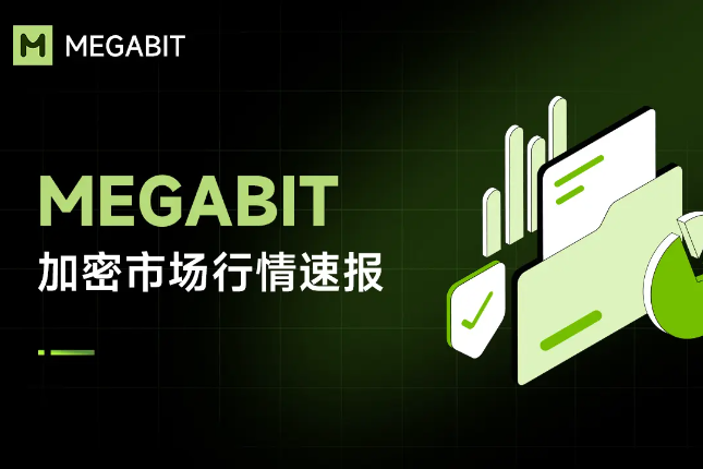 全球加密市场最新动态：Megabit的行业前瞻