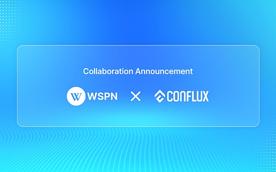 WSPN与高性能公链Conflux达成战略合作 共同推进全球稳定币生态发展